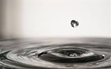 karenpouls-water-drop-7589539_640